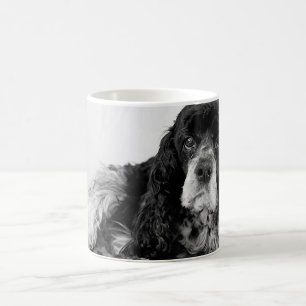 Mug Photo de Cocker Spaniel noir et blanc
