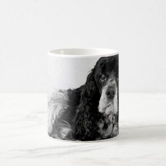 Mug Photo de Cocker Spaniel noir et blanc