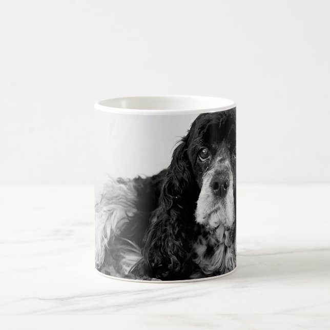 Mug Photo de Cocker Spaniel noir et blanc (Centre)