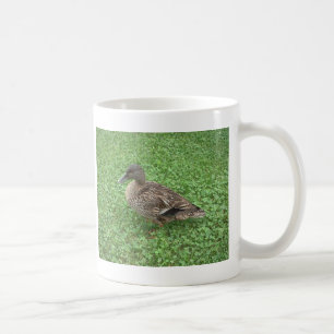 Mug Photo de femelle de canard de Mallard