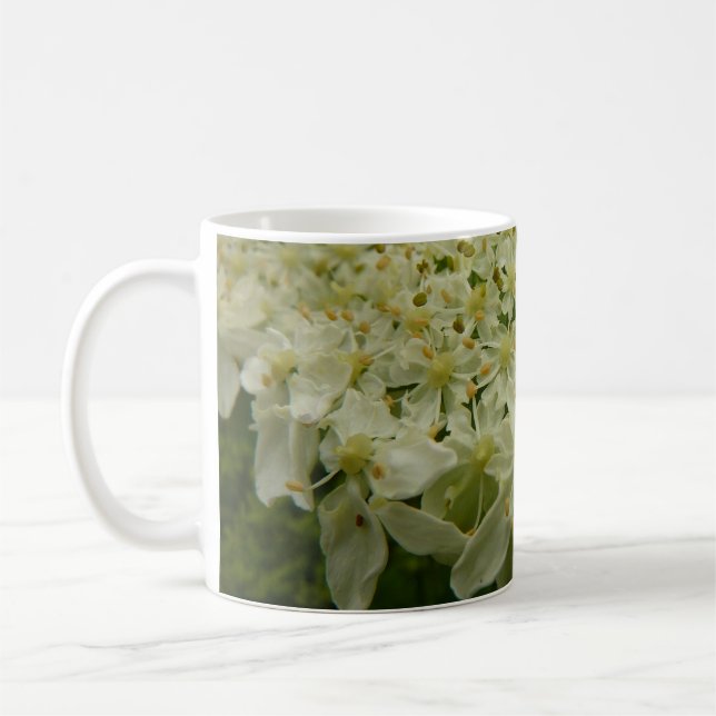 Mug Photo de la fleur sauvage de la Reine Anne lace (Gauche)