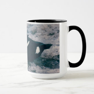 Mug Photo de la sauvagine de l'Alaska arctique King Ei