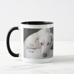 Mug Photo de l'unique chien blanc du Labrador Retrieve
