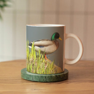 Mug Photo de Mallard Drake Nature