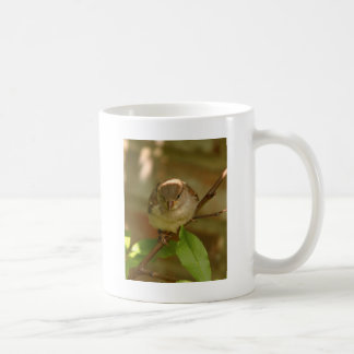 Mug Photo de moineau