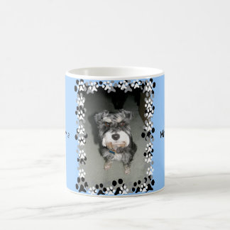 Mug Photo de Schnauzer miniature