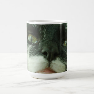 Mug Photo drôle de chat minou animal de compagnie