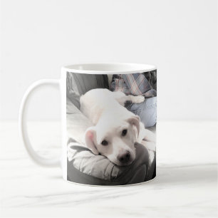 Mug Photo du chien blanc mignon accroché avec le café
