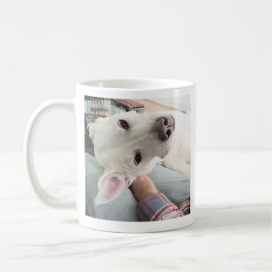 Mug Photo du chien mignon Best Papa Pal Ever Blue Deni