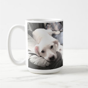Mug Photo d'un chien mignon assis avec son meilleur am