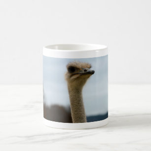 Mug Photo idiote de faune de visage d'autruche de la