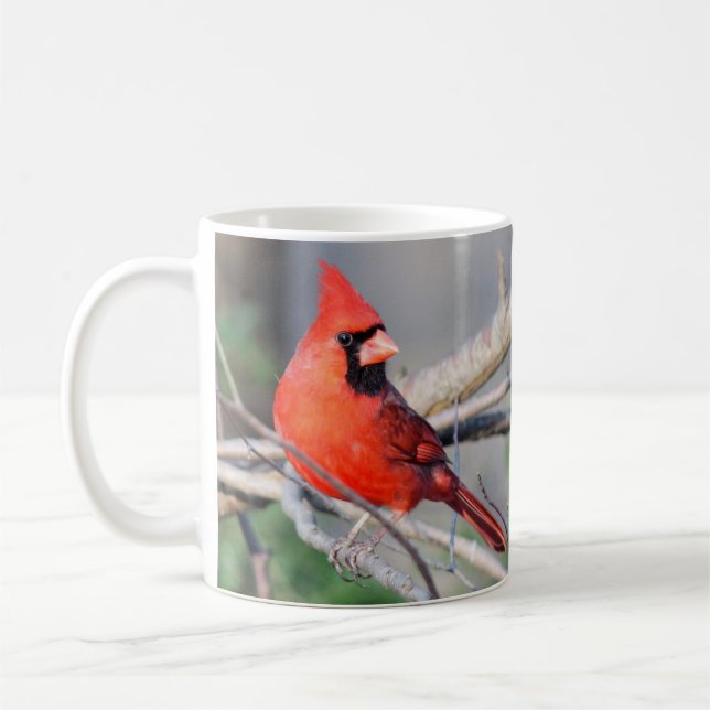 Mug photo joyeux du cardinal (Gauche)