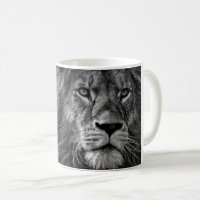 Photo Lion noir et blanc