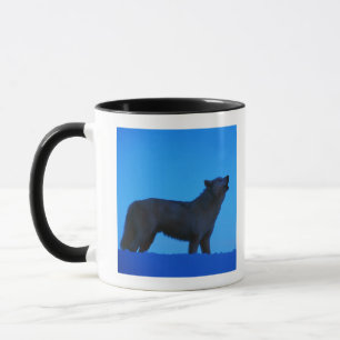 Mug Photo, loup blanc hurlant la nuit, couleur, haut