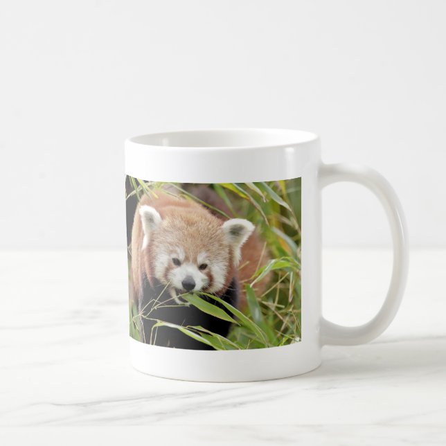 Mug Photo panda rouge, animaux 0397. (Droite)