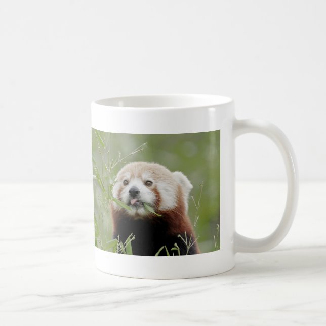 Mug Photo panda rouge, animaux 0401. (Droite)