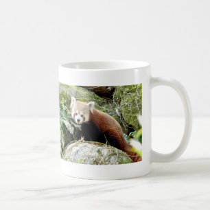 Mug Photo panda rouge, animaux 0403.