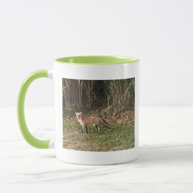 Mug photo Renard (Gauche)