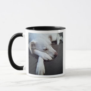 Mug Photo Sleeping Chien Rapide récupération obtenir b