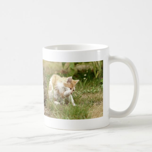 Mug. photo street cat, chat.  tasse de café (Droite)