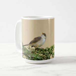 Mug Photographie charmante d'un oiseau moineau