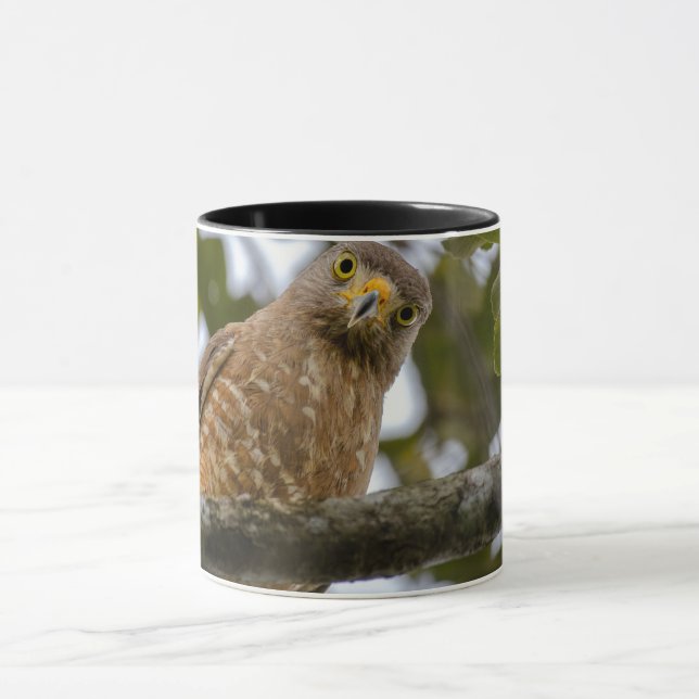 Mug Photographie de Belizean Roadside Hawk (Centre)