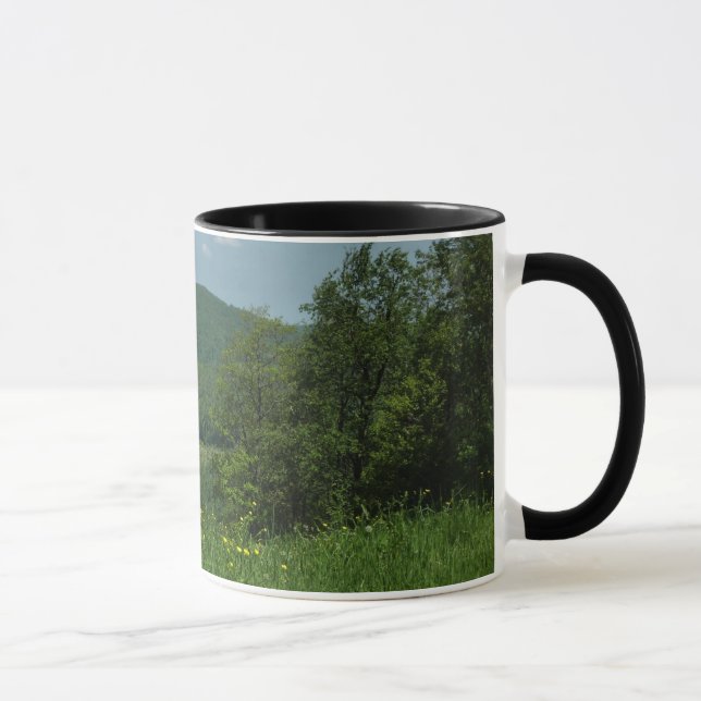 Mug Photographie d'été dans les Laurel Highlands en Pe (Droite)