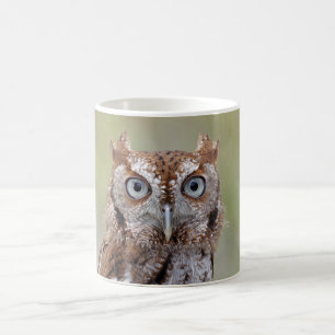 Mug Photographie orientale de hibou de cri strident