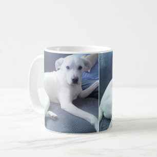Mug Photos de mignonne Consacré Loyal Chien Blanc avec