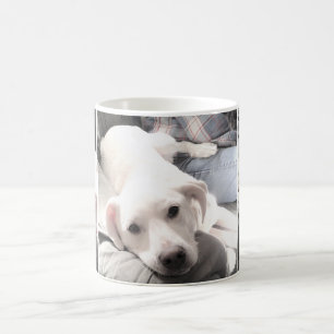 Mug Photos d'un chien blanc mignon accroché à la pea
