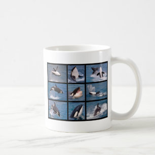 Mug Photos mosaïque d'épaulards