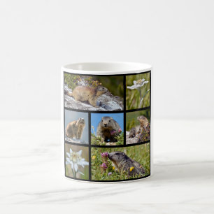 Mug Photos mosaïque Marmottes alpines et edelweiss