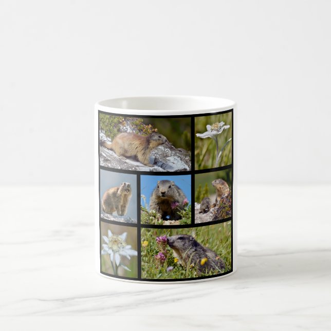 Mug Photos mosaïque Marmottes alpines et edelweiss (Centre)