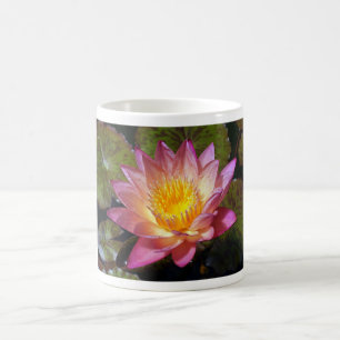Mug Photos Pink Water Lily