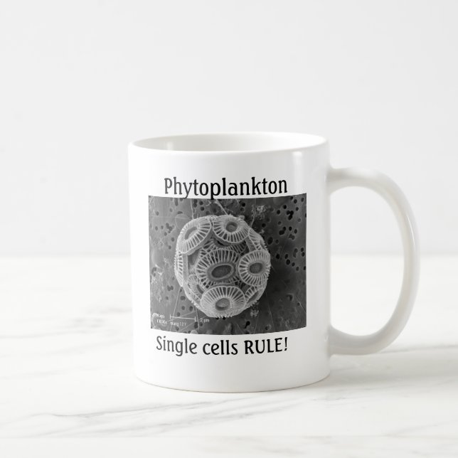 Mug Phytoplancton, RÈGLE de cellules ! (Droite)
