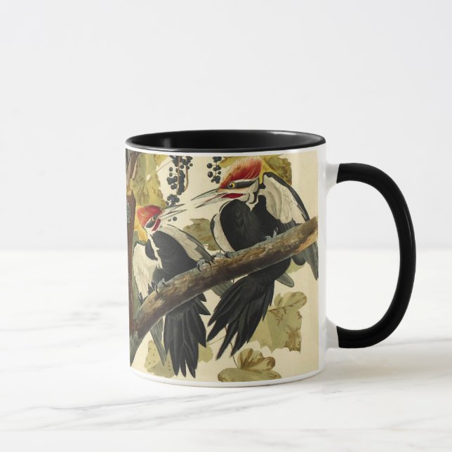 Mug Pic pilé, John James Audubon (Droite)