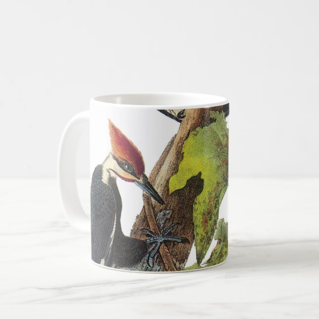 Mug Pic piloté par Audubon (Devant gauche)