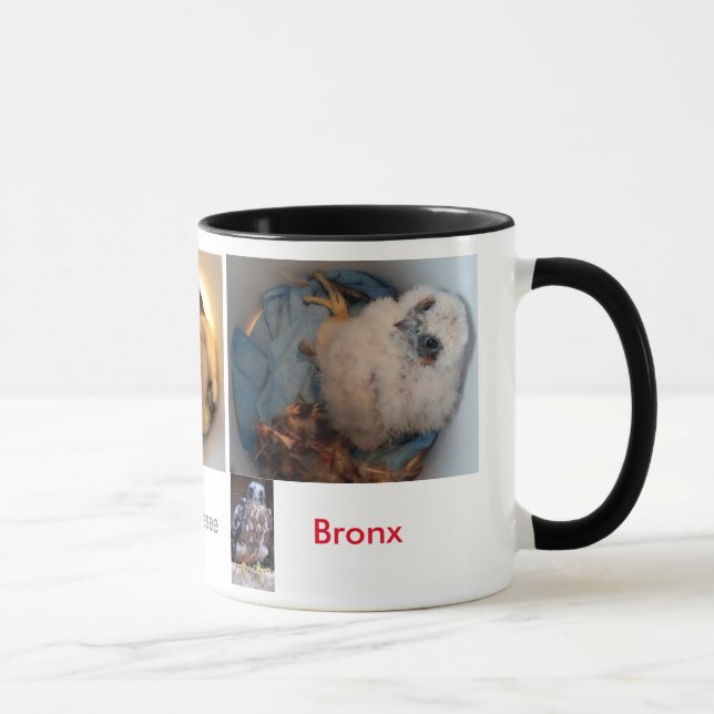Mug PICS 2015 de seau de Rfalconcam (Droite)