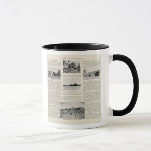 Mug Piezzi Ranch, Harris Vineyard, Californie