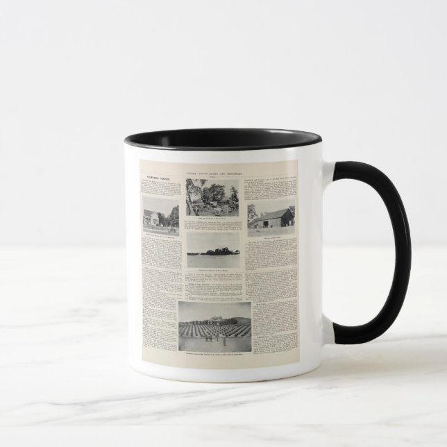 Mug Piezzi Ranch, Harris Vineyard, Californie (Droite)