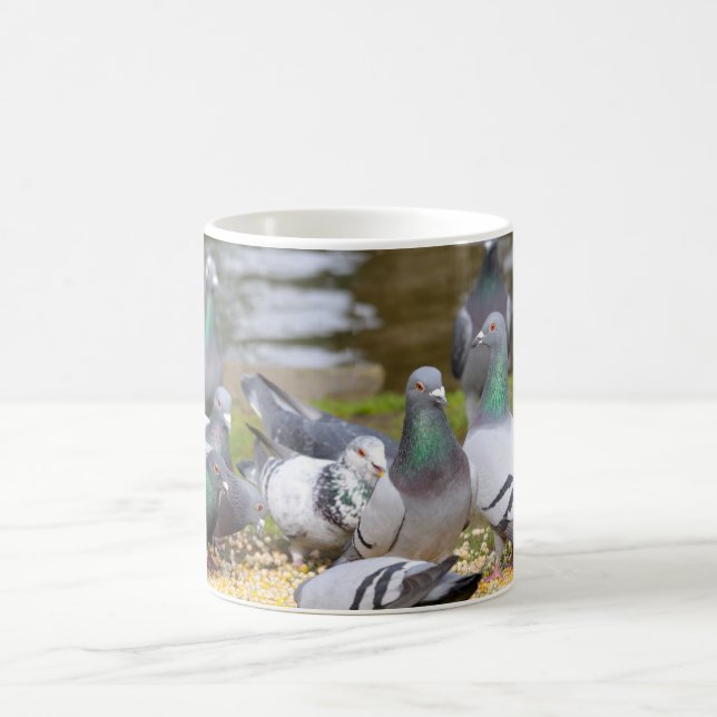 Mug pigeons (Centre)