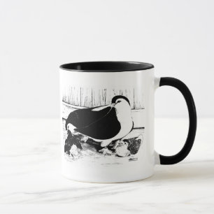 Mug Pigeons de Lahore 1980