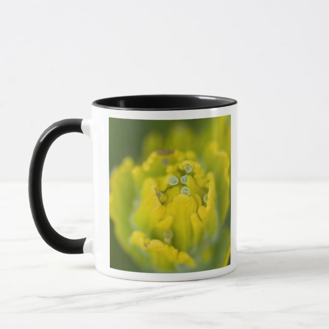 Mug Pinceau doré indien Castilleja 2 (Gauche)