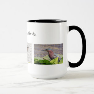 Mug Pinella's County Florida Wildlife