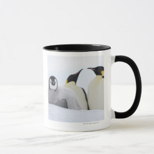 Mug Pingouin d'empereur (forsteri d'Aptenodytes)