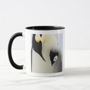 Mug Pingouin d'empereur regardant le poussin