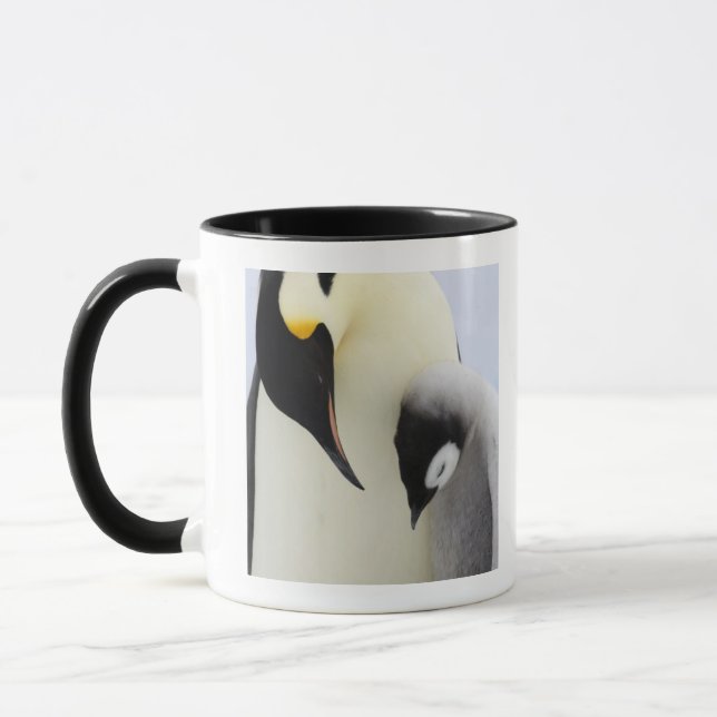 Mug Pingouin d'empereur regardant le poussin (Gauche)