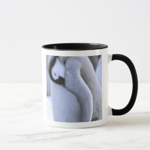 Mug Pingouin Péninsule Antarctique, mer de Weddell