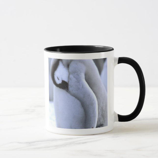 Mug Pingouin | Péninsule Antarctique, mer de Weddell (Droite)