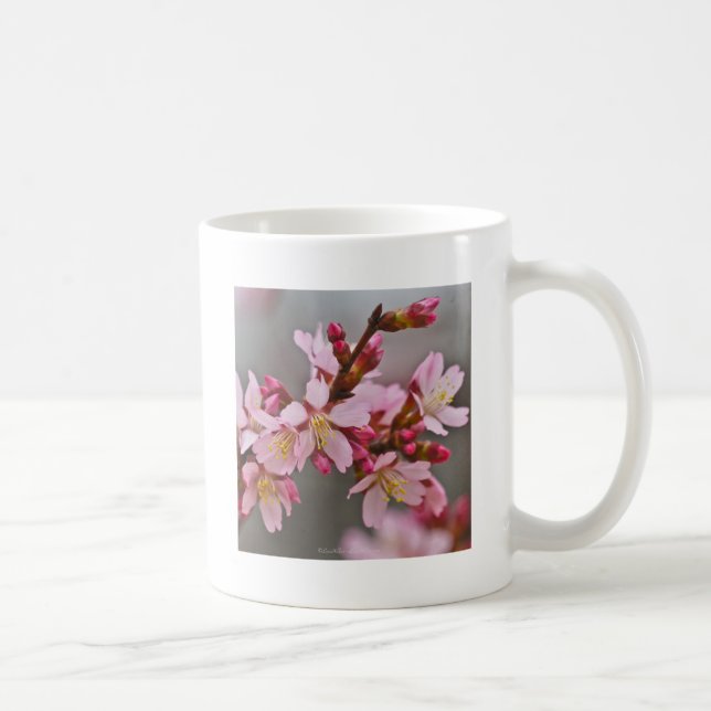 Mug Pink Against A Gray Sky Japanese Cherry Blossoms (Droite)